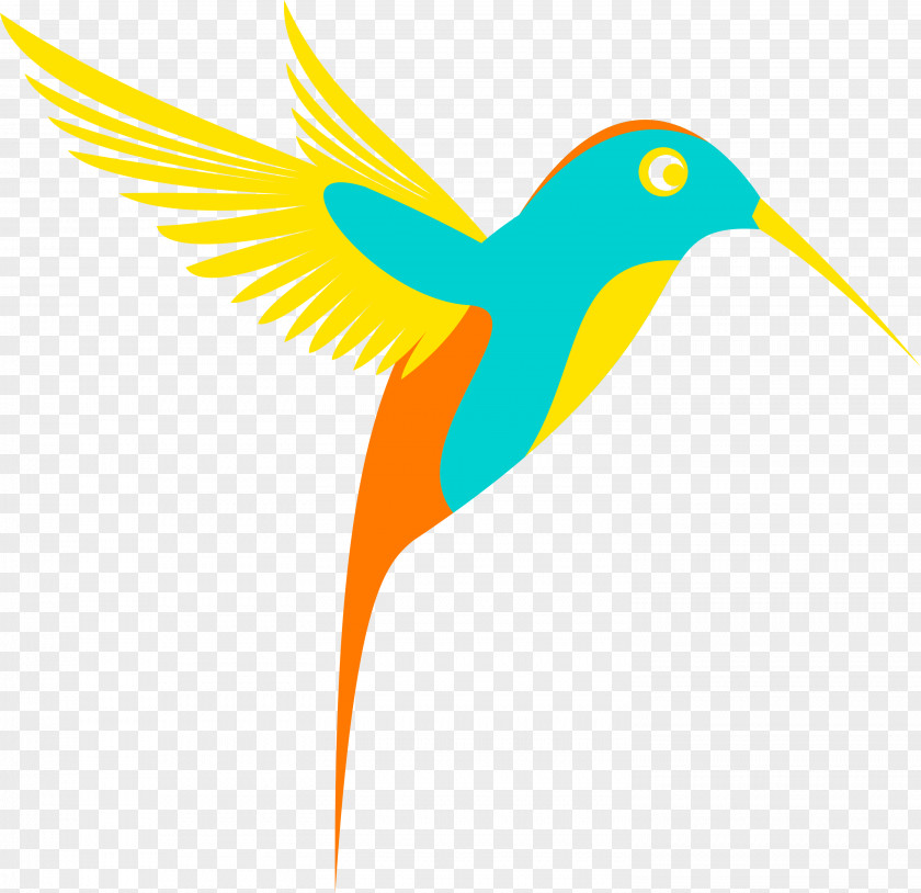 Hummingbird Drawing Clip Art PNG