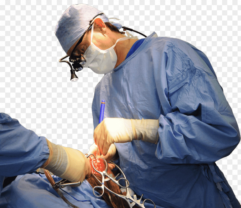 Orthopedic Surgery Surgeon's Assistant Practice Management For The Young Orthopaedic Surgeon PNG