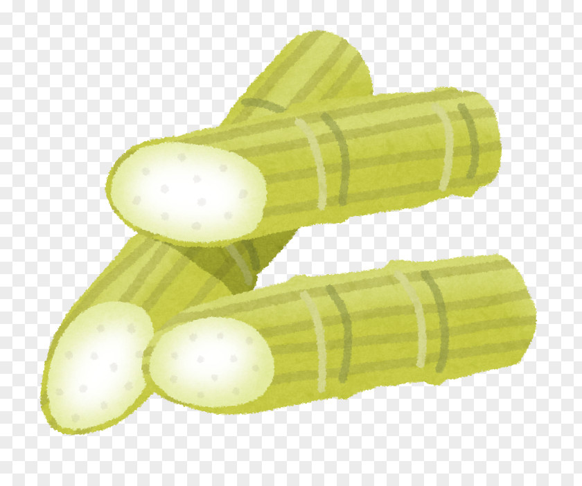 Vegetable Saccharum Officinarum Food Illustration Sugar Corn On The Cob PNG