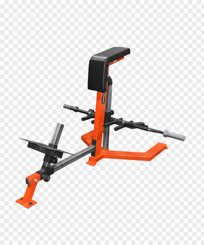Barbell Bench Bent-over Row Fitness Centre Exercise Equipment PNG