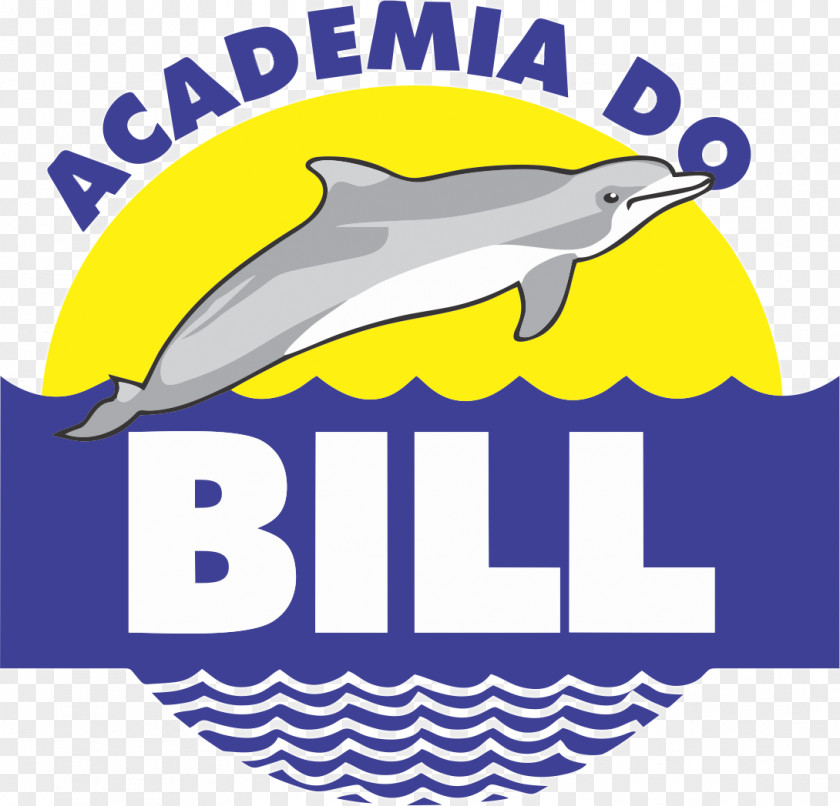 Bills Logo Clip Art Academia Do Bill Ltda ME Brand Marine Mammal PNG