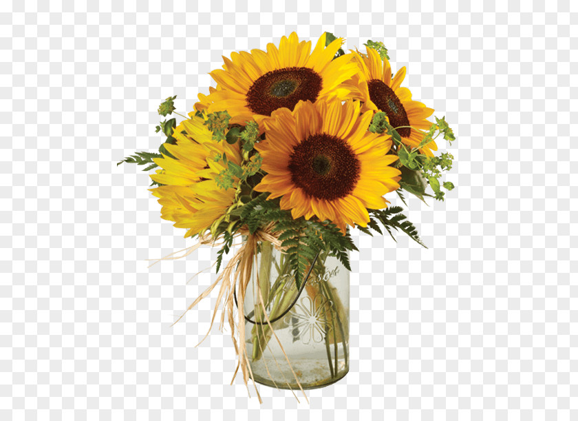 Flower Common Sunflower Floral Design Cut Flowers Transvaal Daisy PNG