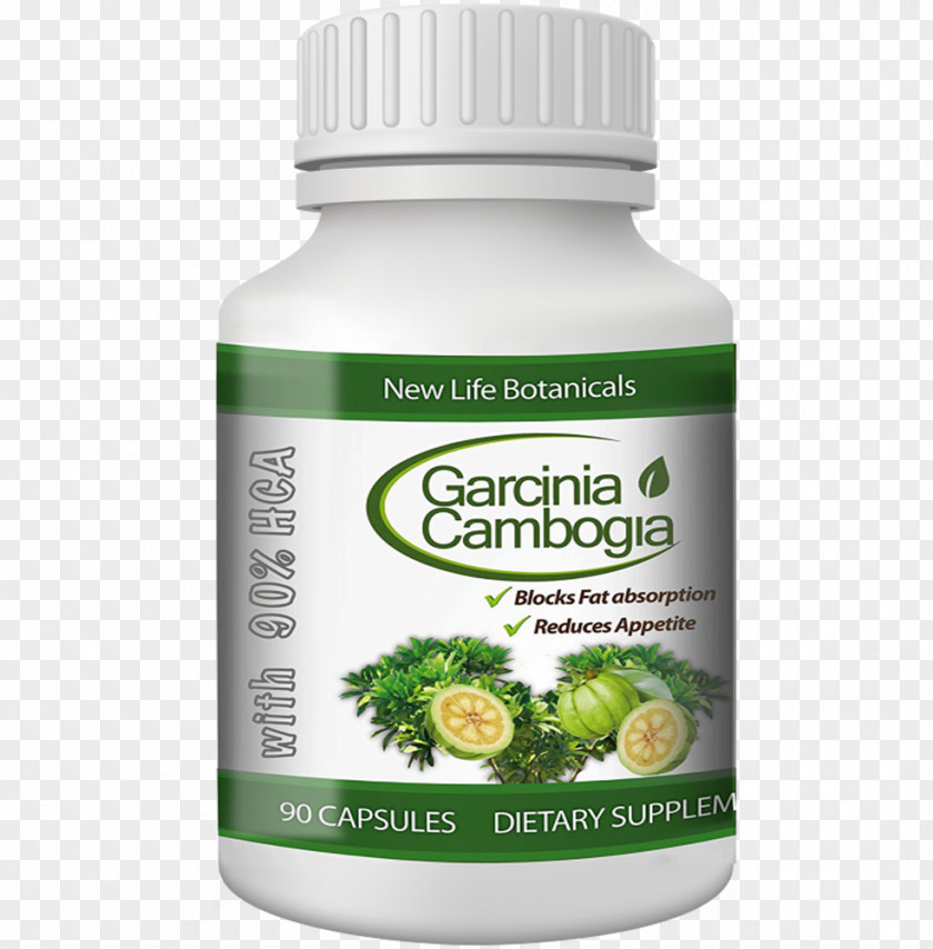 Garcinia Prainiana Gummi-gutta Dietary Supplement Hydroxycitric Acid Asam Gelugur Indica PNG