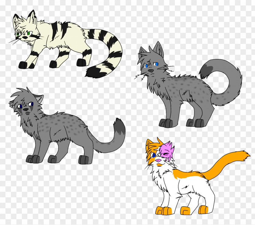 Kitten Whiskers Cat Warriors Into The Wild PNG