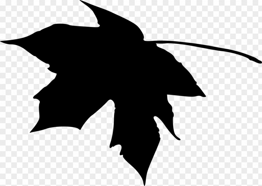 Leaf Summer Vector Graphics Silhouette Clip Art Transparency PNG
