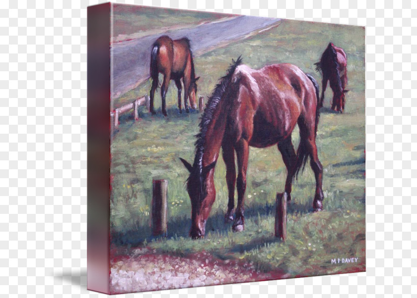 Painting Mare New Forest Pony Stallion PNG