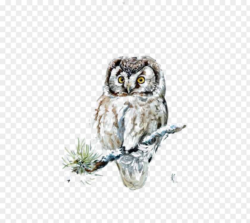 Snow Owl 54 Cards Download PNG