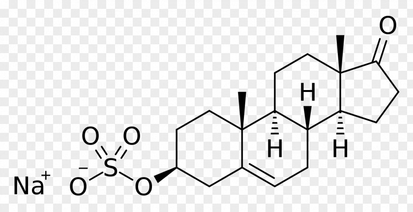 Sodium Sulfate The Great Testosterone Myth Pregnenolone Sarsasapogenin Structure Dehydroepiandrosterone PNG