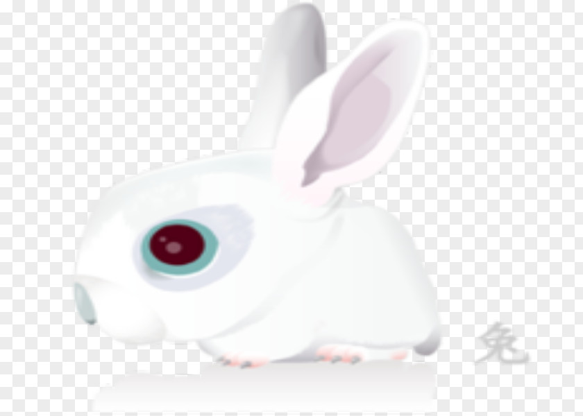 Cute Bunny Domestic Rabbit White Easter Leporids PNG