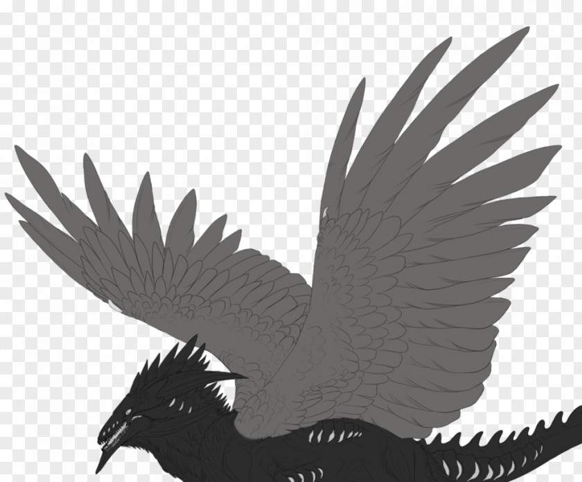 Not Allowed Beak Bird Of Prey Feather Galliformes PNG