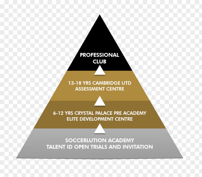Organizational Framework Football Player Pyramid Organization Youth System PNG
