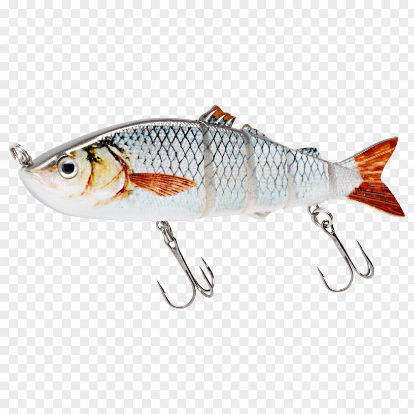 Roach Fishing Baits & Lures Reels Rods PNG