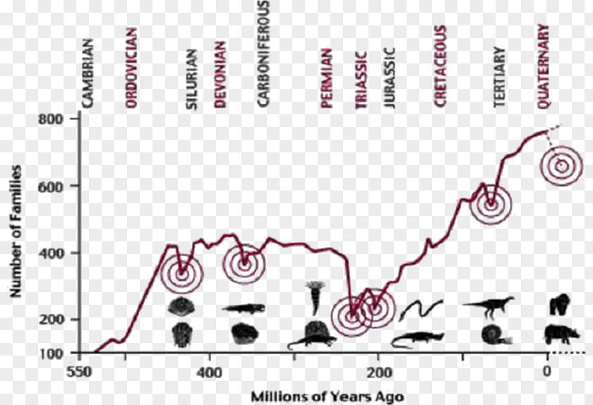 Science Late Devonian Extinction Holocene Event Evolution PNG