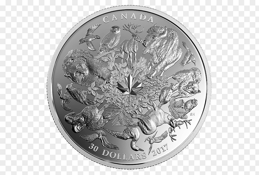 Silver Coin Bullion PNG