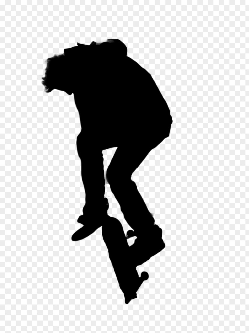 Skateboard Silhouette Skateboarding Photography PNG