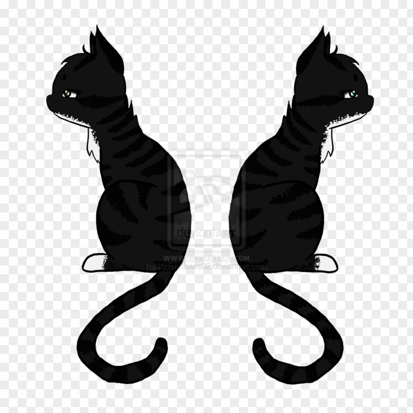 Smoky Black And White Cat Kitten Whiskers Dog Paw PNG