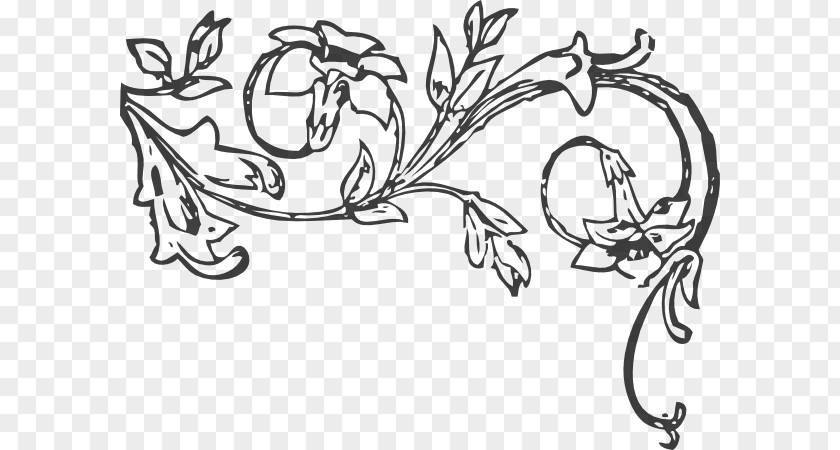 Vine Black And White Coloring Book Clip Art PNG