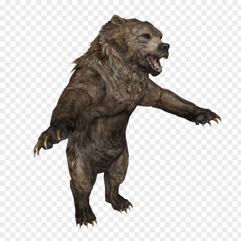 Aurora Boreal Enderal: The Shards Of Order Grizzly Bear SureAI Animal PNG