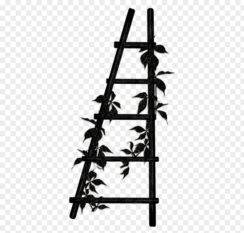 Black Ladder Wood Download PNG