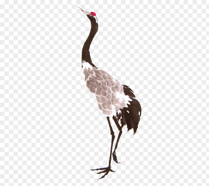 Crane Red-crowned Gongbi Chinese Painting PNG