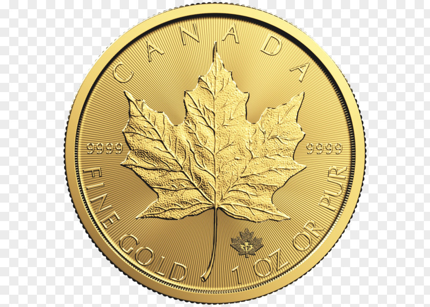 Gold Leaf Canadian Maple Bullion Coin PNG