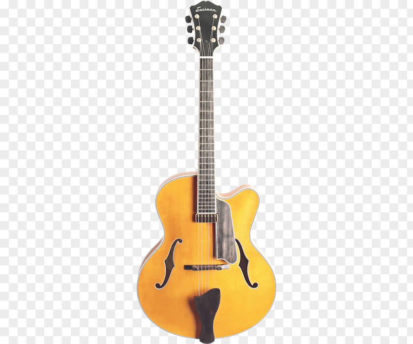 Guitar Classical Steel-string Acoustic Tanglewood Guitars PNG