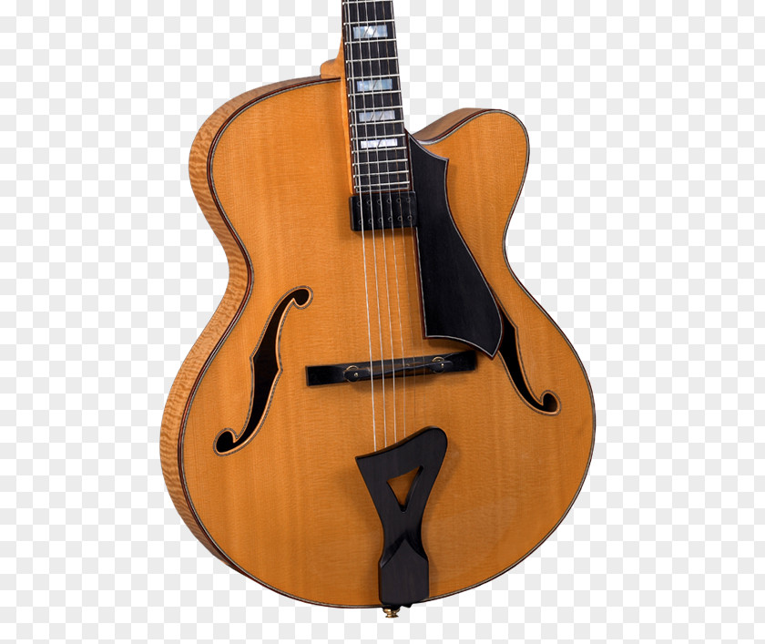 Shading Style Acoustic Guitar Bass Electric Tiple Cuatro PNG