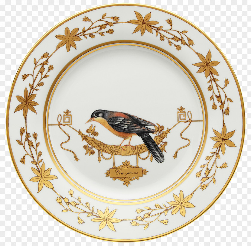 Bird Doccia Porcelain Museo Richard-Ginori Della Manifattura Di Plate PNG
