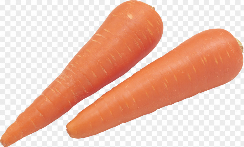 Carrot Image Clip Art PNG
