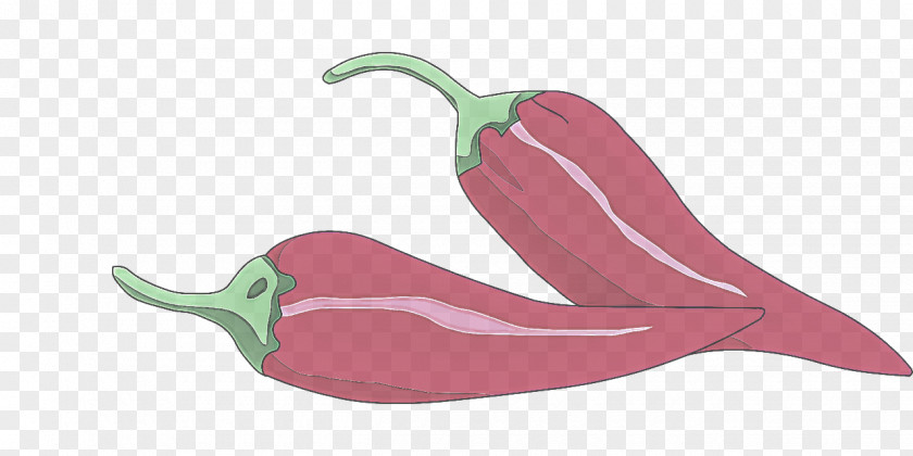 Food Nightshade Family Chili Pepper Bell Peppers And Vegetable Plant Jalapeño PNG