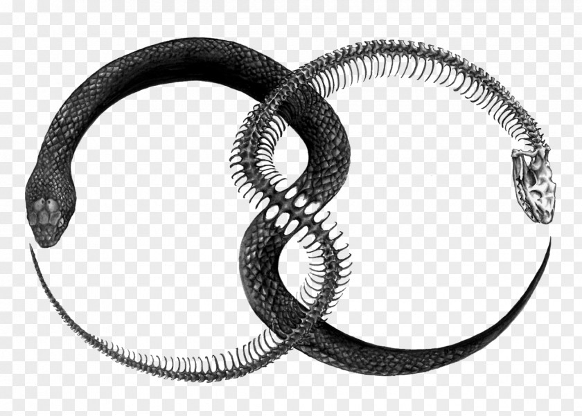 Snake Ouroboros Tattoo Drawing PNG