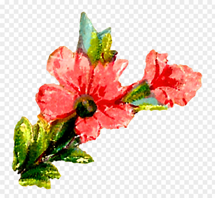 Watercolor Flower Cut Flowers Floral Design Painting Clip Art PNG