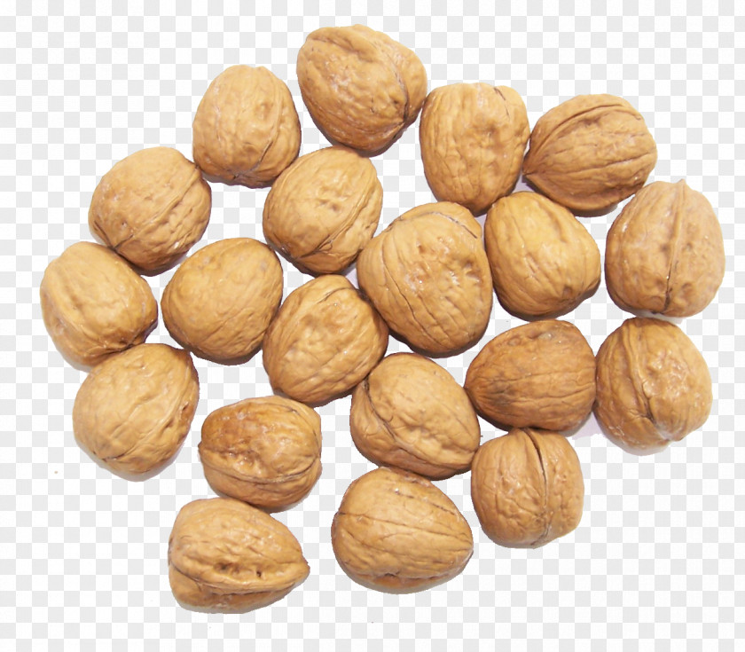 Wild Walnut Dried Fruit Nuts PNG