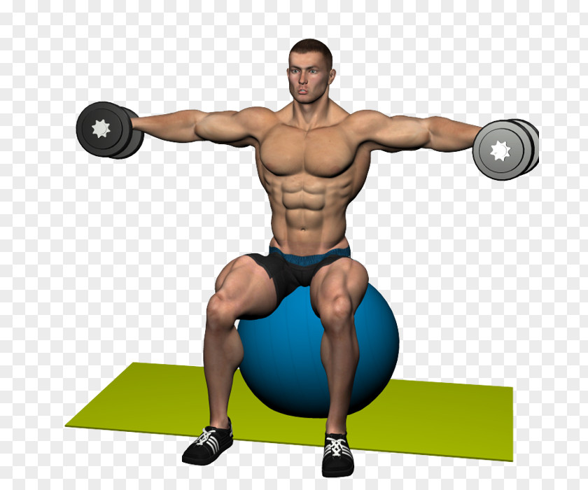 Dumbbell Weight Training Deltoid Muscle Shoulder Rear Delt Raise PNG