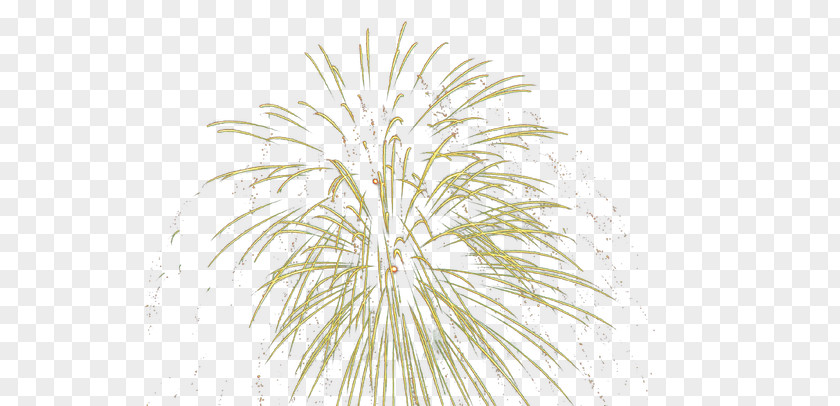 Fireworks,explosion,Colorful Tree Pattern PNG