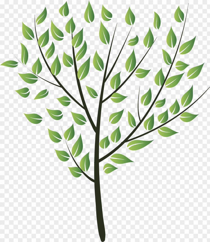 Flower Tree Drawing PNG