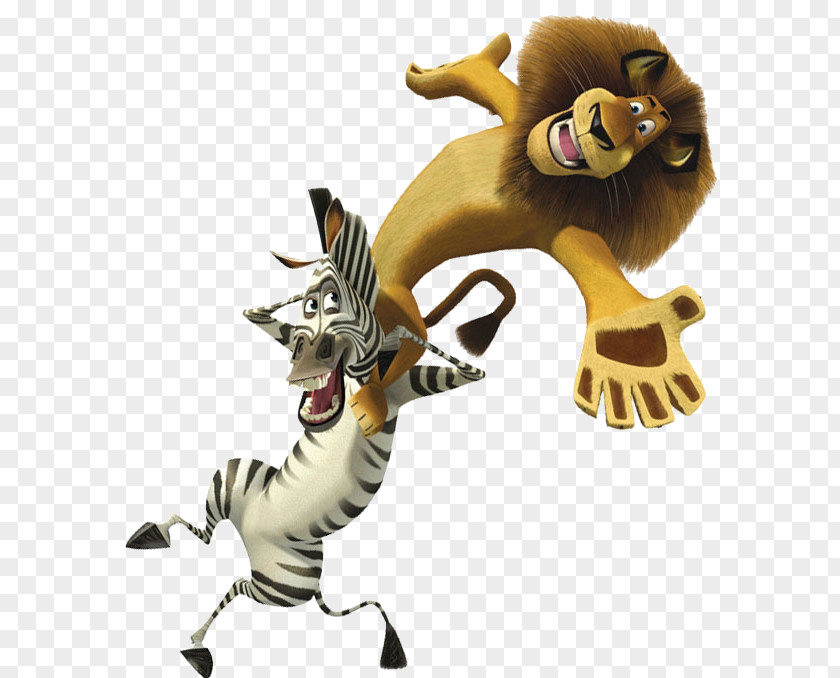 Madagascar Alex Marty Film PNG