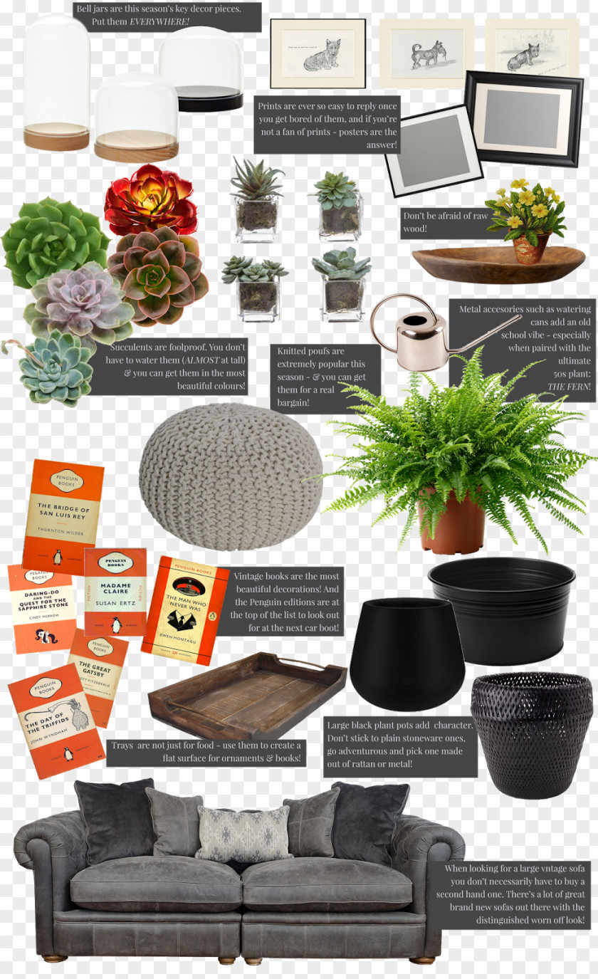 Table Houseplant Flowerpot Modena PNG