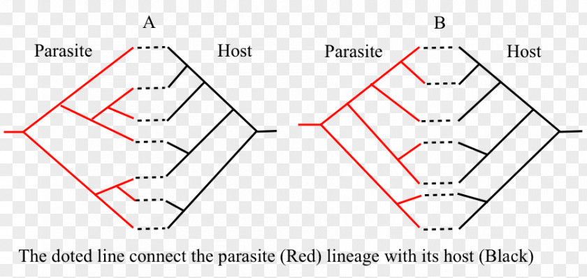 Triangle Document PNG