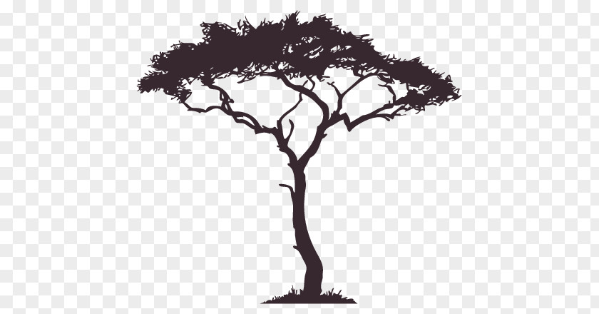 Silhouette African Trees PNG