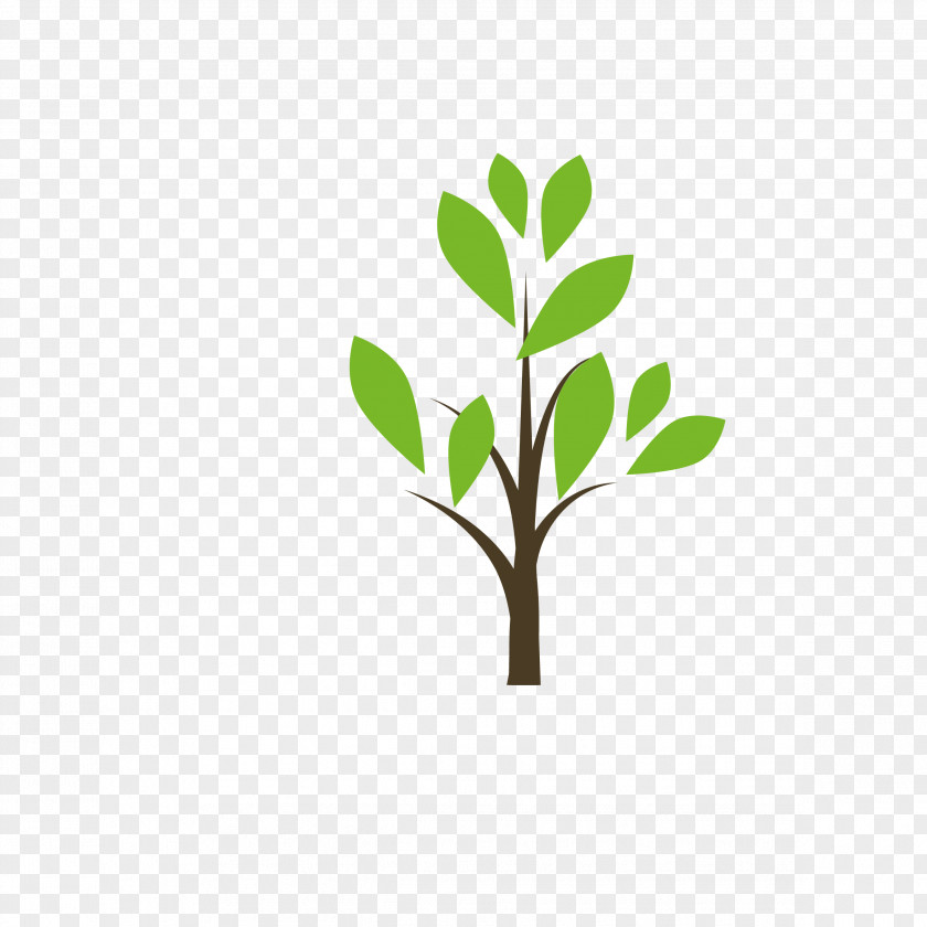 Tree Spring Bud Green PNG