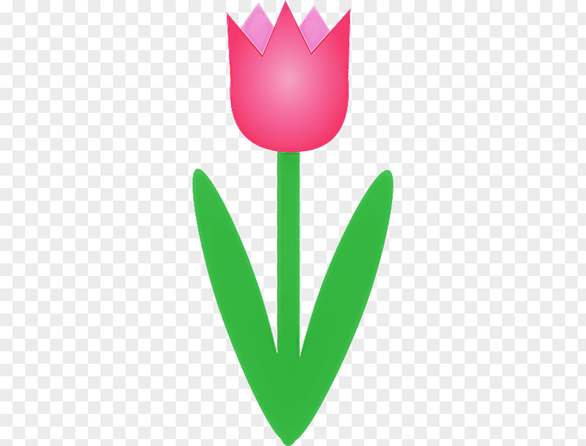 Tulip Logo Leaf Plant Flower PNG