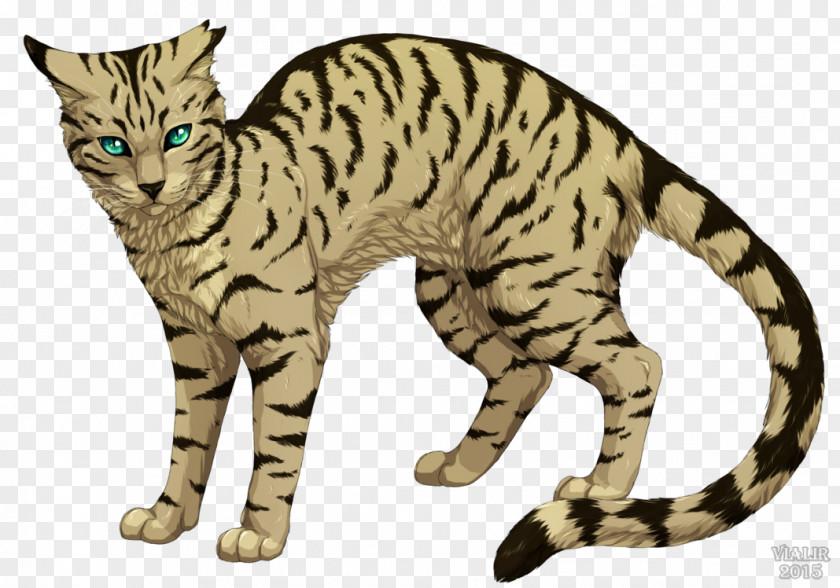Cat Warriors Into The Wild Longtail Erin Hunter PNG