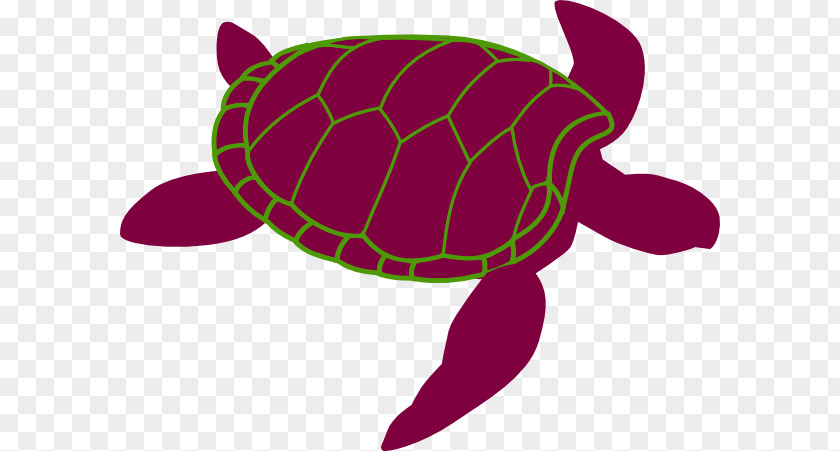 Chippy Sea Turtle Reptile Clip Art Drawing PNG