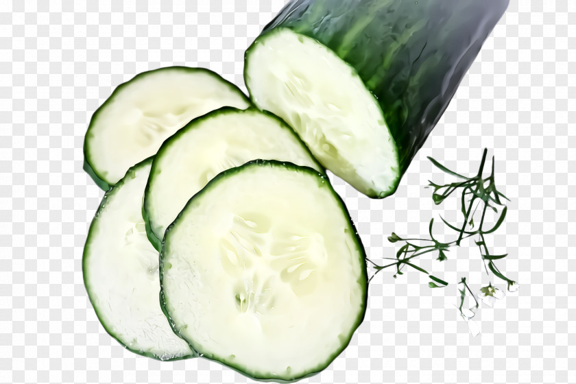 Food Vegetable Cucumber Plant Vegan Nutrition PNG