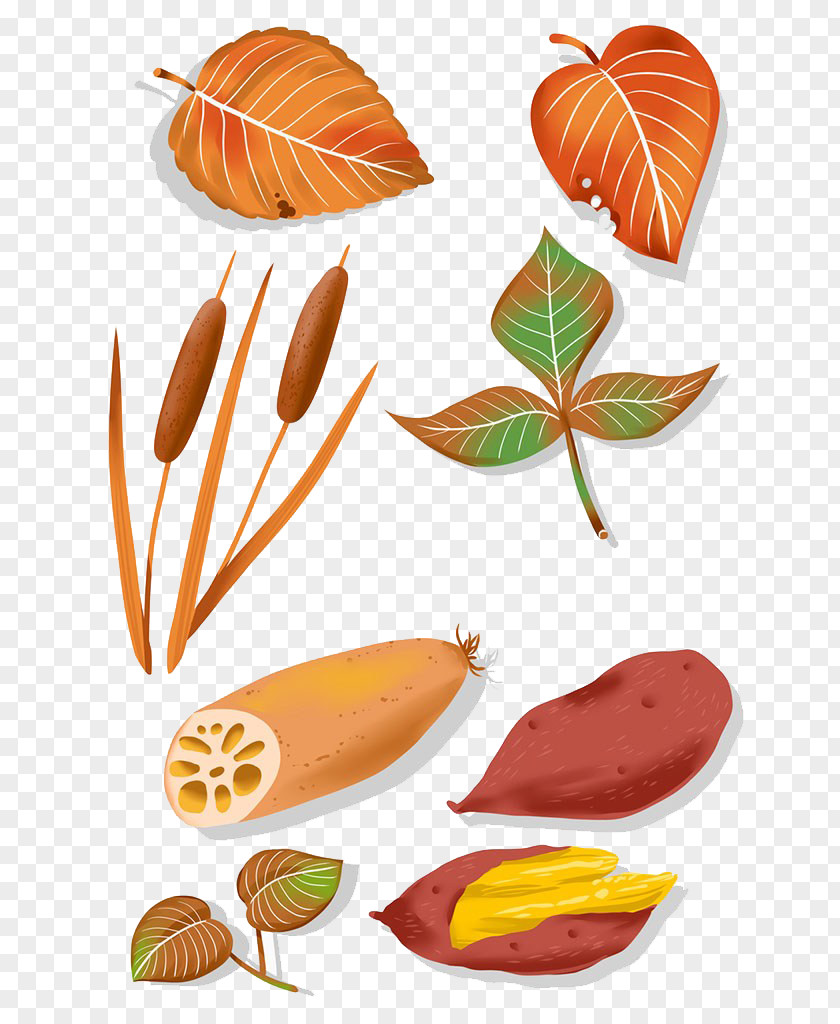 Leaves And Grass Leaf Drawing Illustration PNG