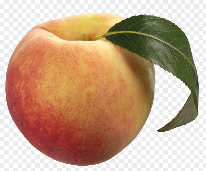 Peach Free Download Fruit Clip Art PNG