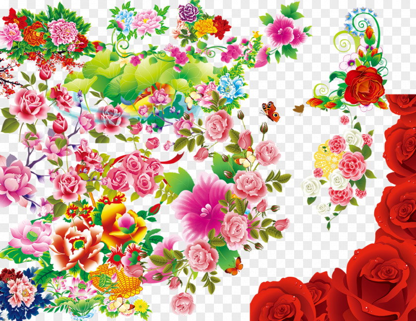 Peony Collection Flower PNG