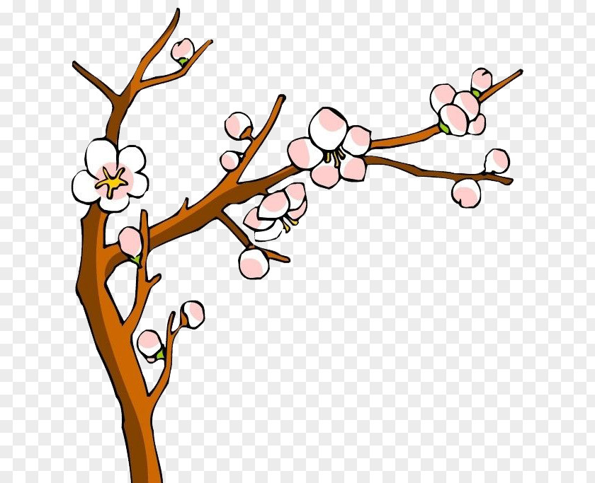 A Peach Blossom Flower PNG