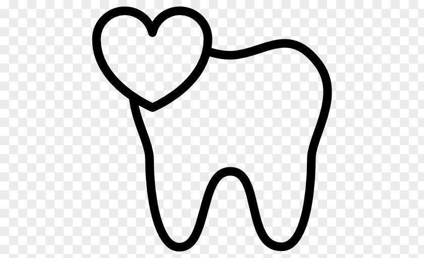 Anatomic Vector Of Teeth Dentistry Maxillary First Molar Human Tooth PNG